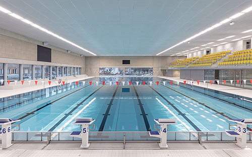 Neubau Edelstahlbecken - SSK Dresden Freiberger Platz │ Wettkampfbecken